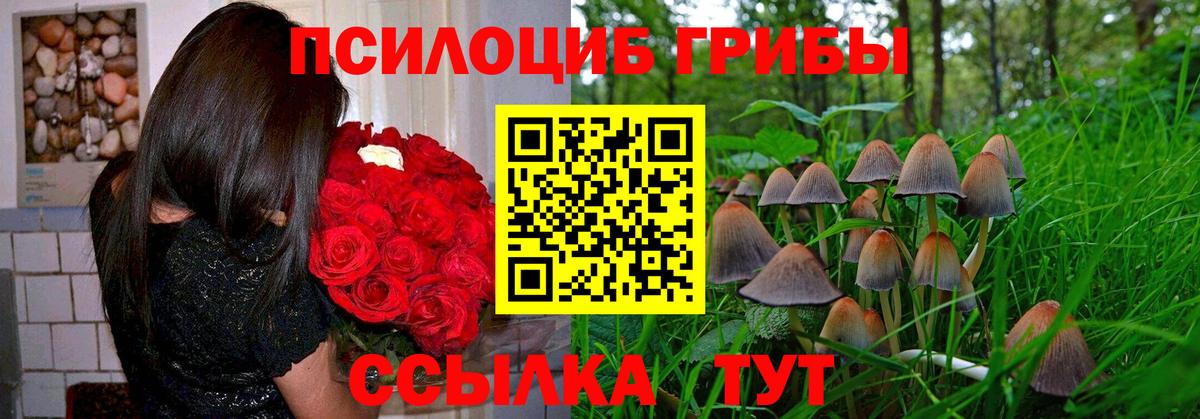 Галлюциногенные грибы GOLDEN TEACHER Алейск