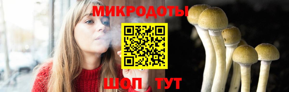 Галлюциногенные грибы Psilocybe  Вход с VPN  Галлюциногенные грибы MAGIC MUSHROOMS  Алейск 
